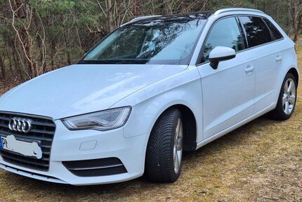 Audi A3 222.000 km 9.900 &euro; Borkwalde 14822