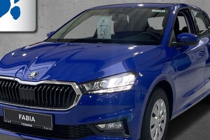 Skoda Fabia 2.500 km 18.930 &euro; Warendorf 48231
