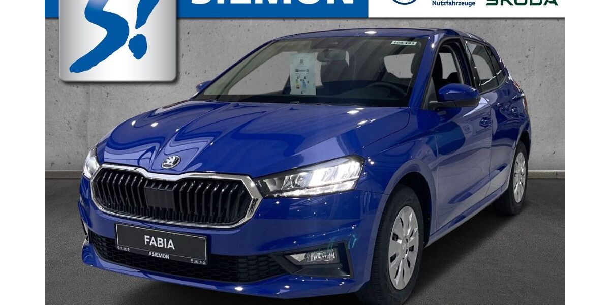 Skoda Fabia 2.500 km 18.930 &euro; Warendorf 48231