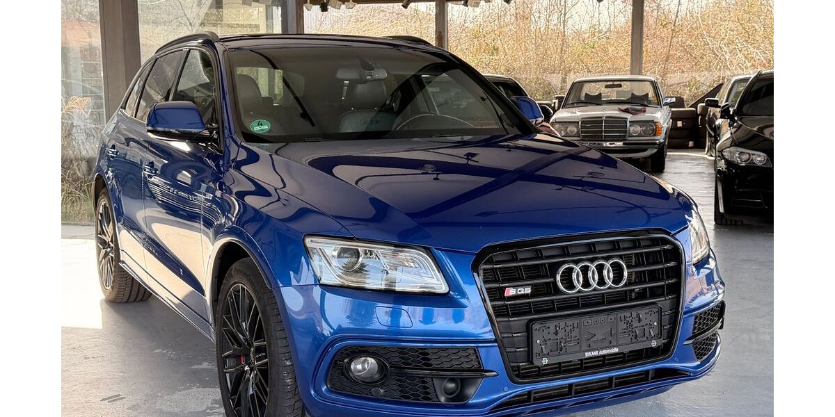 Audi SQ5 190.800 km 19.999 &euro; Haßloch 67454