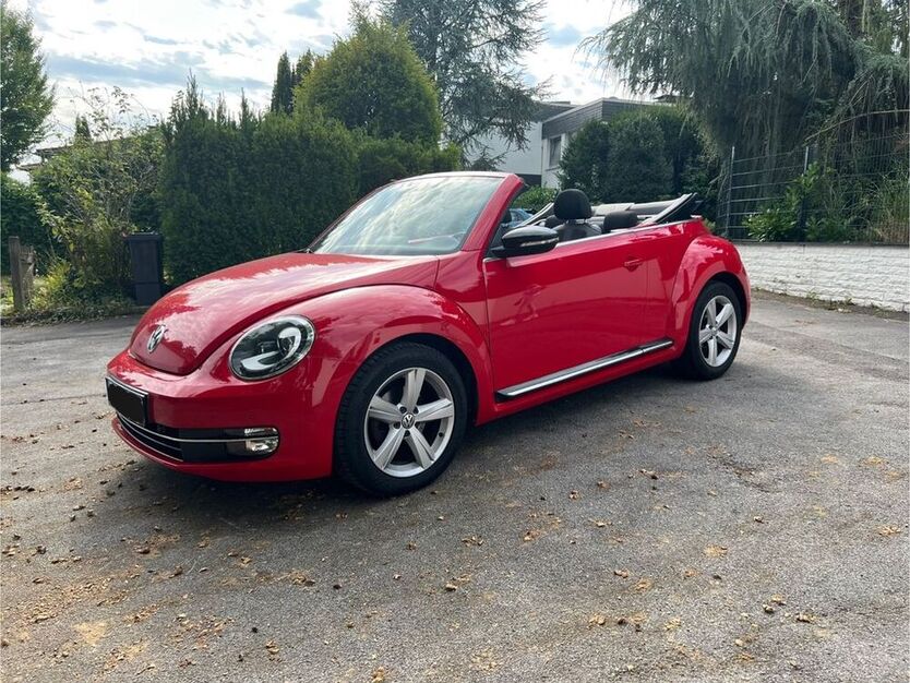 Beetle