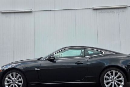 Jaguar XK