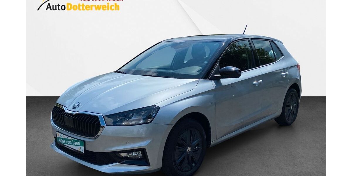 Skoda Fabia 22.200 km 16.990 &euro; Schönbrunn 96185