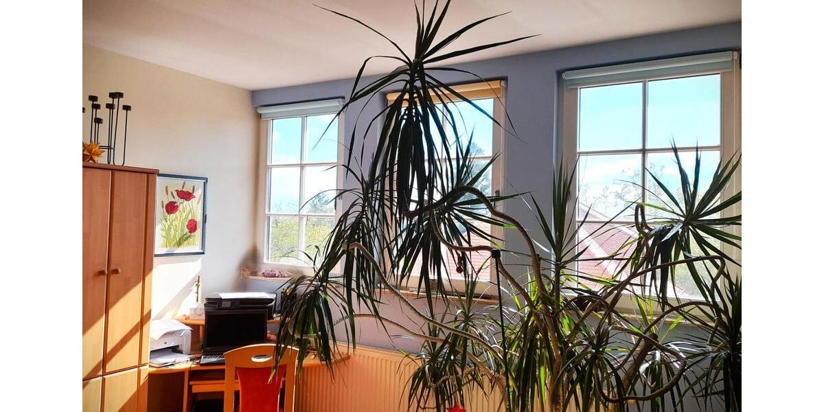 Dachgeschoßwohnung Dresden Klotzsche - 2 Zimmer, 64 m&sup2;, 289.000&euro; | Angebot:26994554