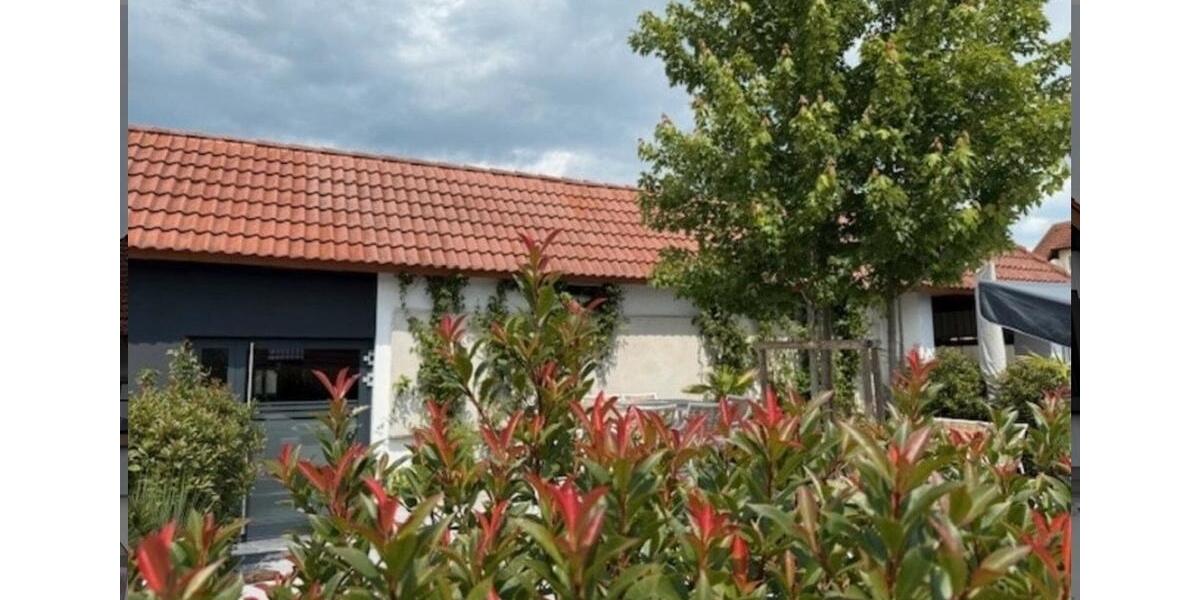 Mehrfamilienhaus, Wohnhaus Wyhl am Kaiserstuhl - 1.850.000&euro; | Angebot:26962476