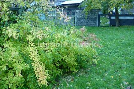 Großzügiges Grundstück in ruhiger und sonniger Randlage zimmer