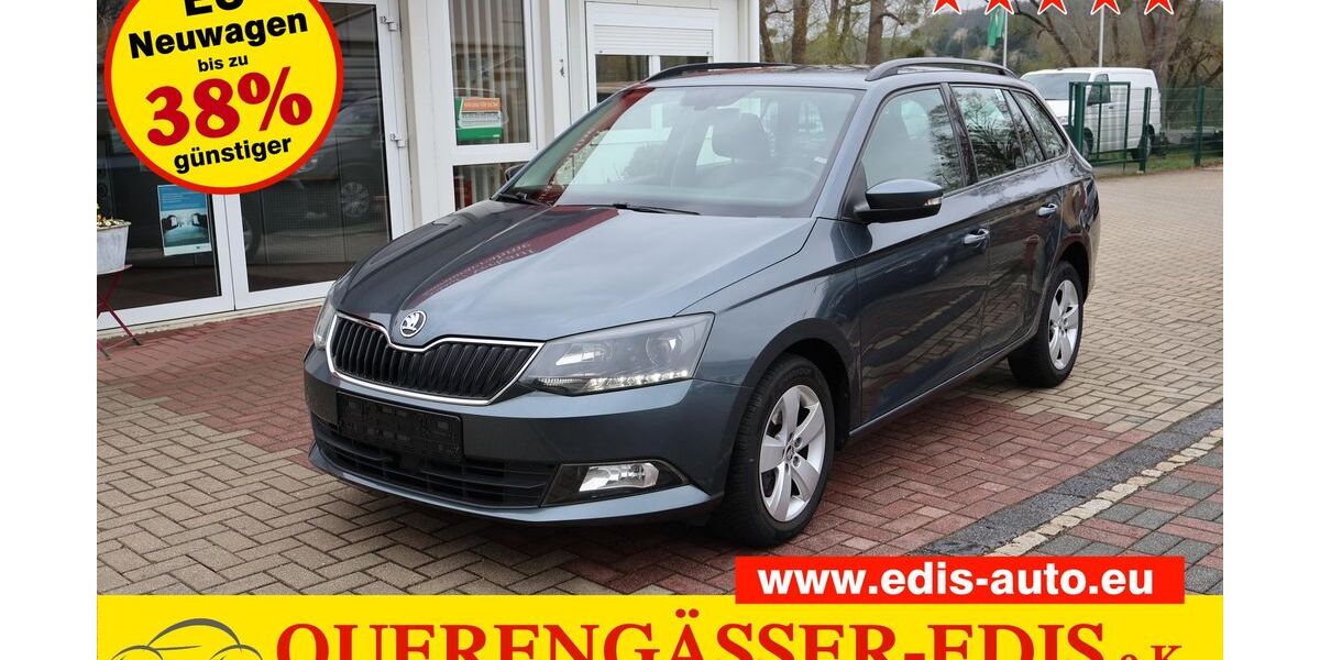 Skoda Fabia 99.640 km 11.990 &euro; Berga-Wünschendorf 07980