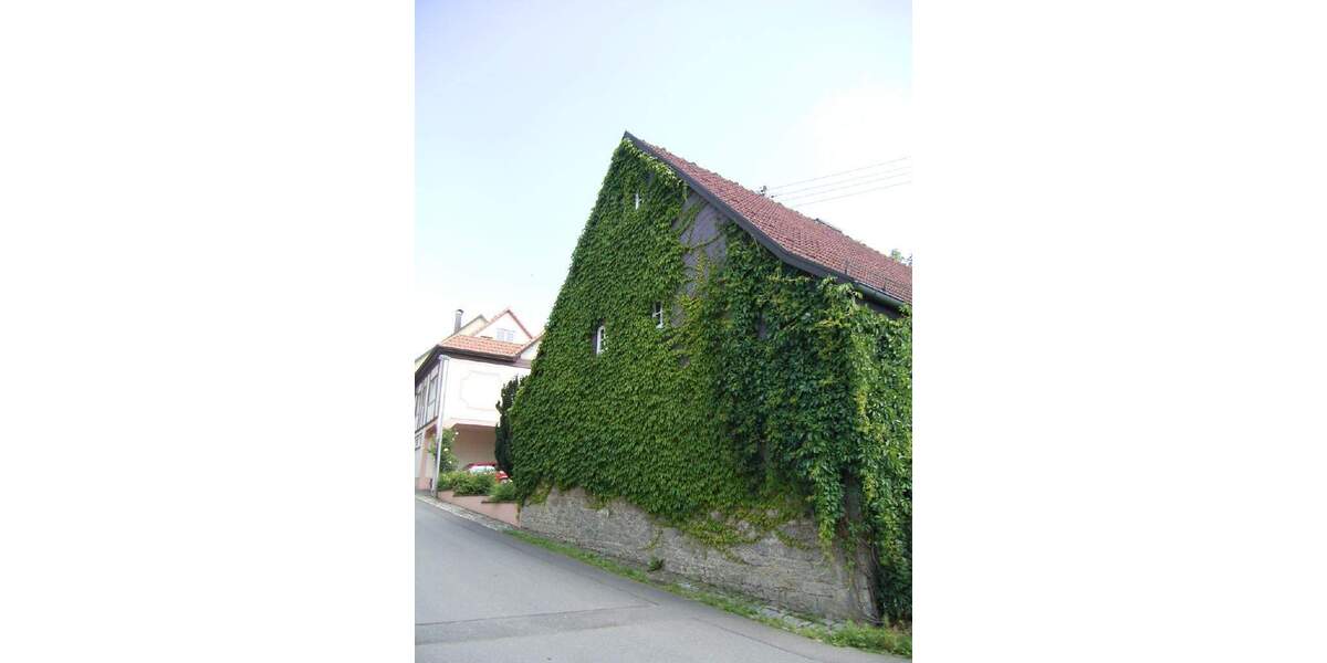 Mehrfamilienhaus, Wohnhaus Ahorn-Schillingstadt Schillingstadt - 1 Zimmer, 450 m&sup2;, 520.000&euro; | Angebot:25778755