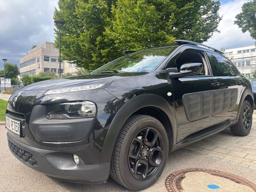 C4 Cactus