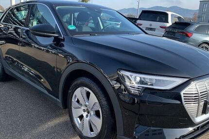 Audi e-tron 21.331 km 28.900 &euro; Sasbach 77880
