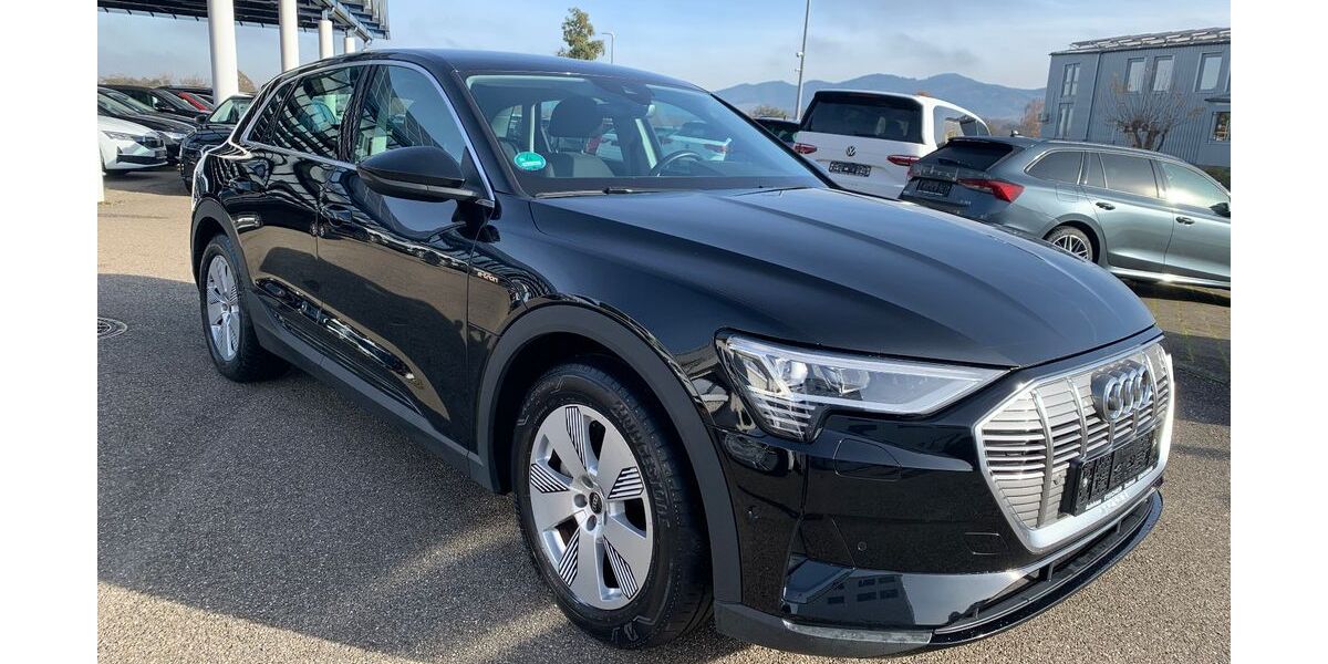 Audi e-tron 21.331 km 28.900 &euro; Sasbach 77880