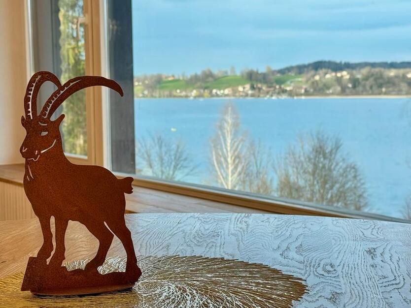 TraumWohnung am Tegernsee – mit Seeblick & privatem Seezugang