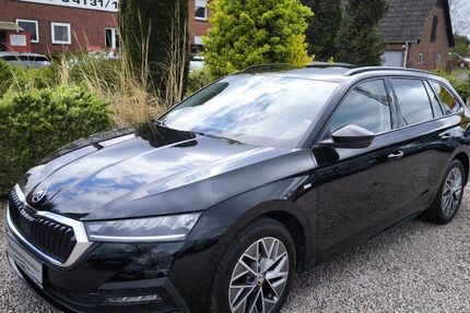 Skoda Octavia 78.800 km 21.480 &euro; Bardowick / Lüneburg 21357