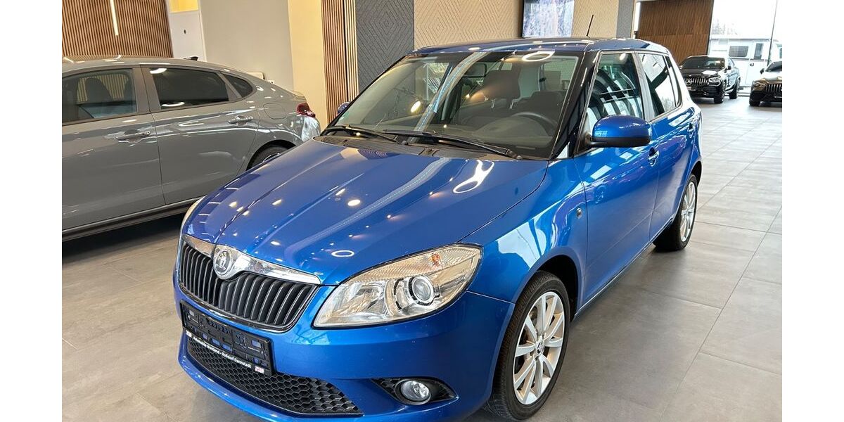 Skoda Fabia 79.500 km 7.990 &euro; Roßdorf 64380