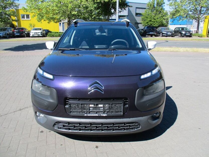 C4 Cactus