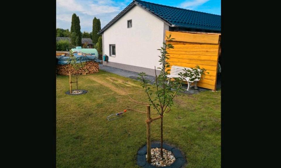 Einfamilienhaus Wolfsburg - 3 Zimmer, 75 m&sup2;, 119.900&euro; | Angebot:26847397