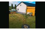 Einfamilienhaus Wolfsburg - 3 Zimmer, 75 m&sup2;, 119.900&euro; | Angebot:26847397