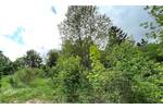 Grundstück Nordhalben - 29.000&euro; | Angebot:25734049
