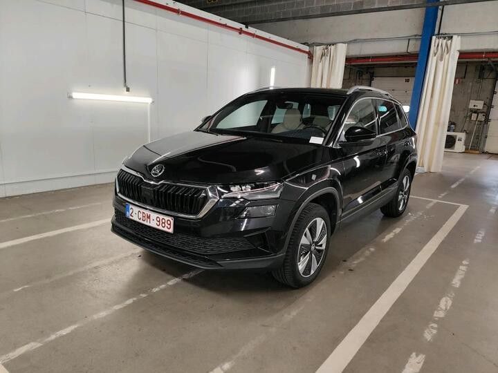 Skoda Karoq 69.000 km 20.111 &euro; Rheinzabern 76764