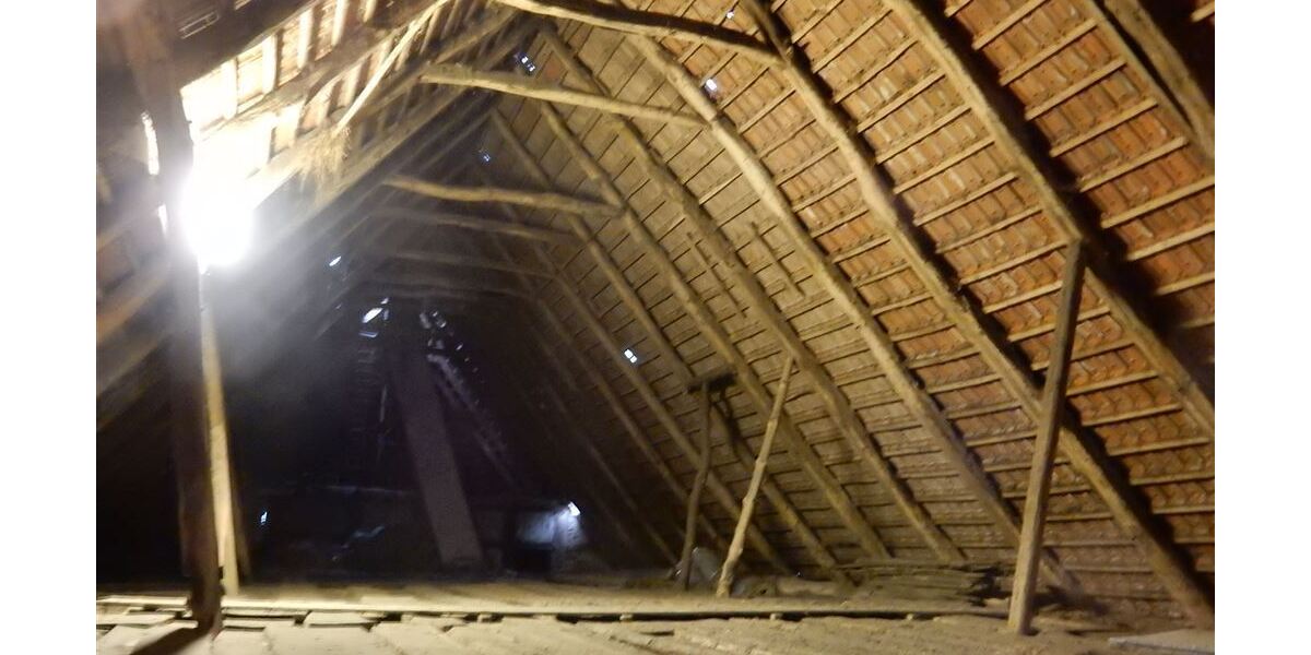 Historischer Niedersachsen- Bauernhof in Fachwerk mit Pferdeboxen u. tollen Eichenbaumbestand - Gewerbeobjekt Diepenau | Angebot:27142419