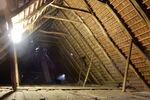 Historischer Niedersachsen- Bauernhof in Fachwerk mit Pferdeboxen u. tollen Eichenbaumbestand - Gewerbeobjekt Diepenau | Angebot:27142419