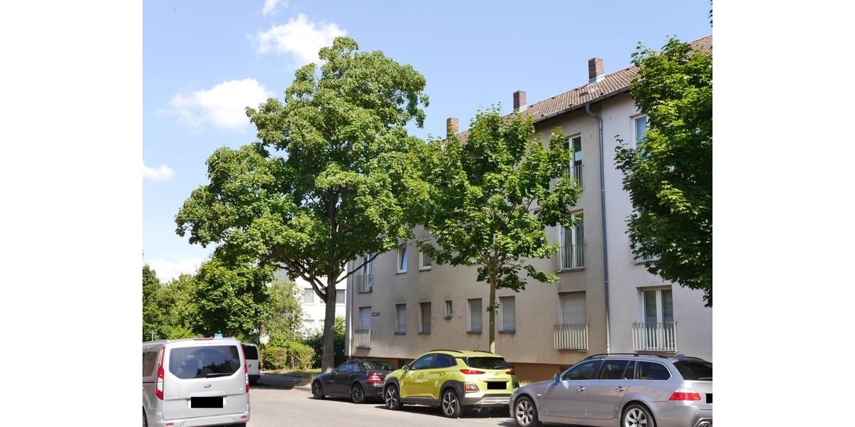 Erdgeschoßwohnung Hanau - 1 Zimmer, 32 m&sup2;, 387&euro; | Angebot:26627843