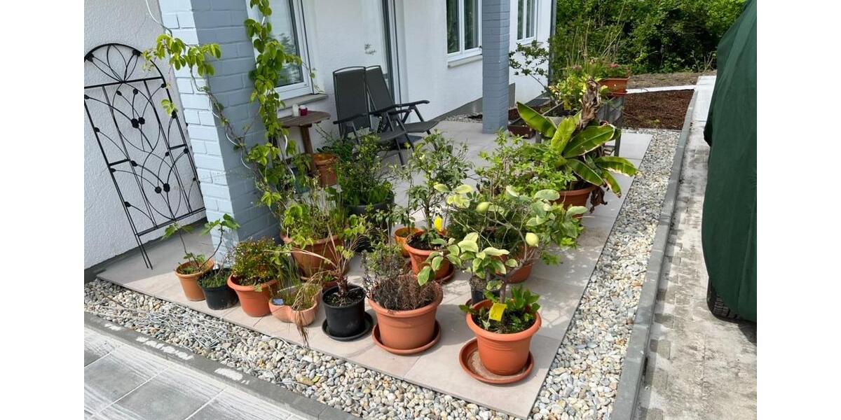Erdgeschoßwohnung Landau an der Isar - 4 Zimmer, 105 m&sup2;, 975&euro; | Angebot:26568428