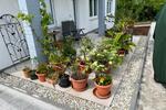 Erdgeschoßwohnung Landau an der Isar - 4 Zimmer, 105 m&sup2;, 975&euro; | Angebot:26568428