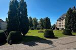Loft - Studio - Atelier Greifswald - 2 Zimmer, 36 m&sup2;, 1.200&euro; | Angebot:20124450