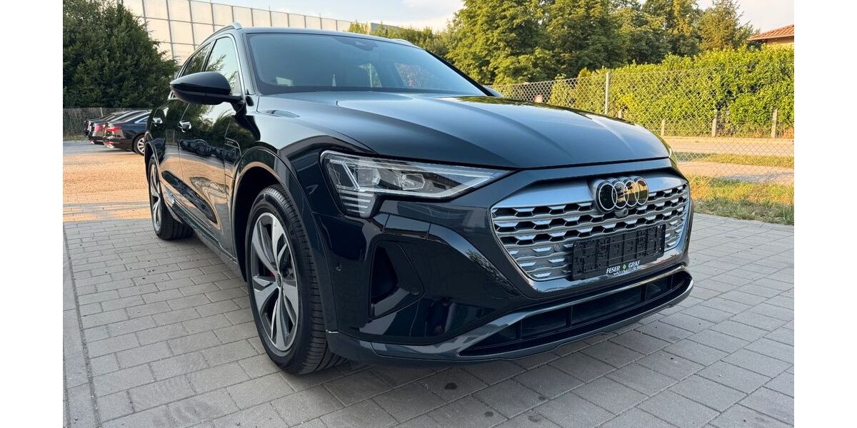 Audi Q8 e-tron 53.500 km 44.990 &euro; Altheim 84051
