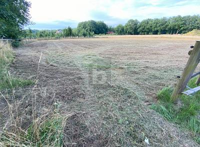 VIEL PLATZ FÜR IHRE WOHNTRÄUME - IN RUHIGER LAGE - Grundstück Neu Wulmstorf | Angebot:24648752