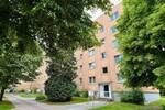 Etagenwohnung Schwerin Mueßer Holz - 3 Zimmer, 57 m&sup2;, 365&euro; | Angebot:26851570
