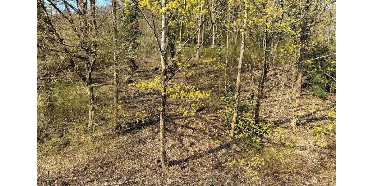 Dachgeschoßwohnung Bad Nauheim - 2 Zimmer, 60 m&sup2;, 280.000&euro; | Angebot:26133723