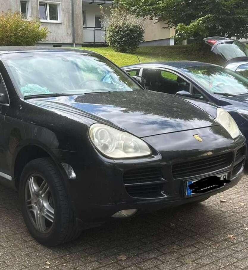 Cayenne