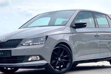 Skoda Fabia 92.000 km 13.499 € Offenbach 63069