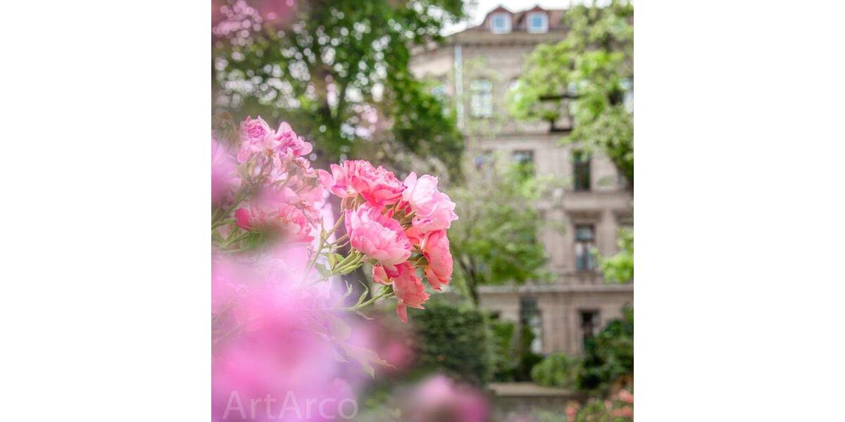 Gewerbeobjekt Fürth Innenstadt - 3.000&euro; | Angebot:25451052