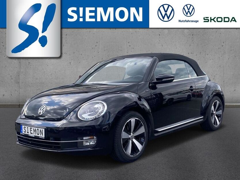 Beetle