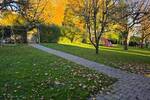 Terrassenwohnung Friedrichshafen Raderach - 2 Zimmer, 86 m&sup2;, 389.000&euro; | Angebot:26787024