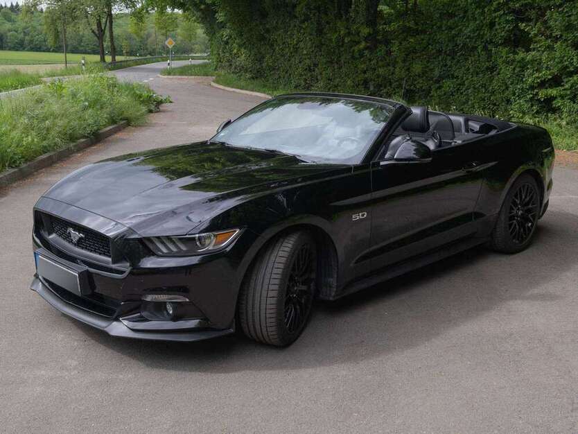 Mustang