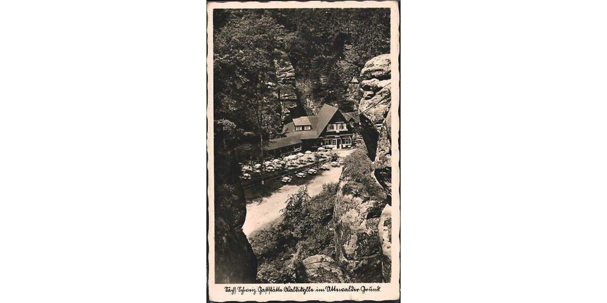 Gewerbeobjekt Lohmen Uttewalde - 299.000&euro; | Angebot:24515722