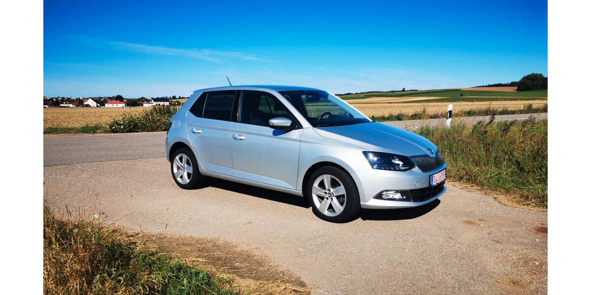 Skoda Fabia 163.000 km 6.800 &euro; Wolnzach 85283