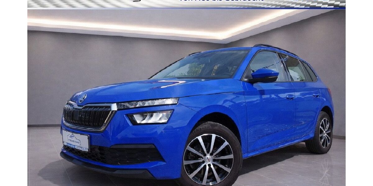 Skoda Kamiq 131.000 km 13.890 &euro; Dresden 01237