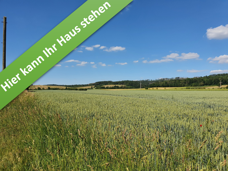 Haus zum Kaufen in Münchehof 329.050 € 136 m²