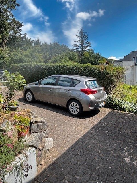Auris