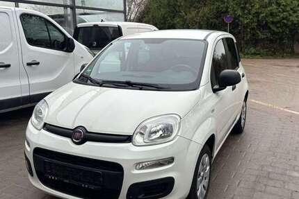 Fiat Panda 55.980 km 7.790 &euro; Frankenthal, Pfalz 67227