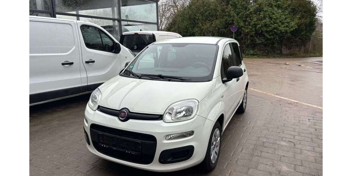Fiat Panda 55.980 km 7.790 &euro; Frankenthal, Pfalz 67227