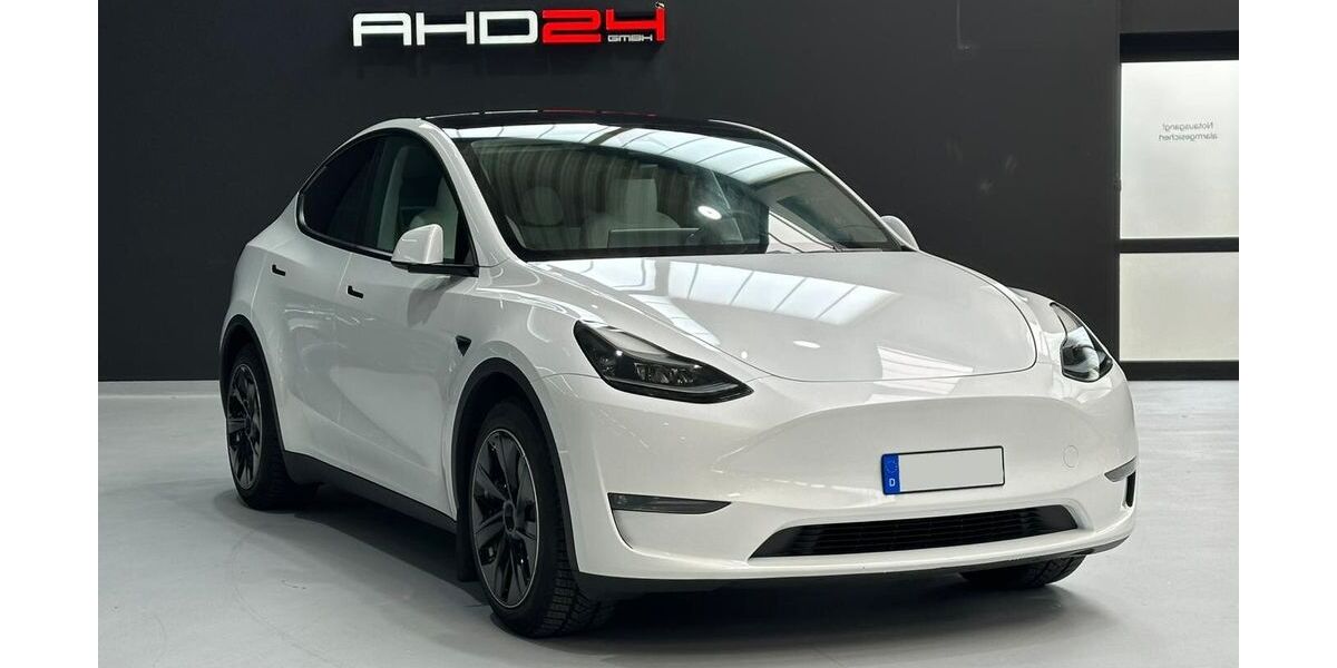 Tesla Model Y 69.000 km 35.500 &euro; Mindelheim 87719