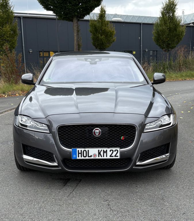 XF