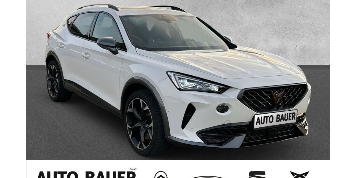 Cupra Formentor 29.013 km 34.690 &euro; Marktheidenfeld 97828