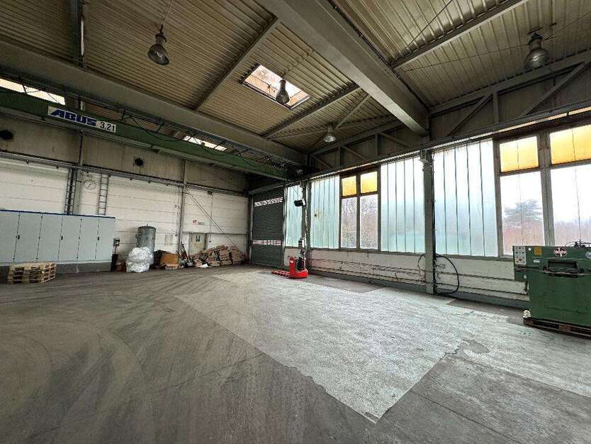Halle in Pirmasens 1.350 € 300 m²